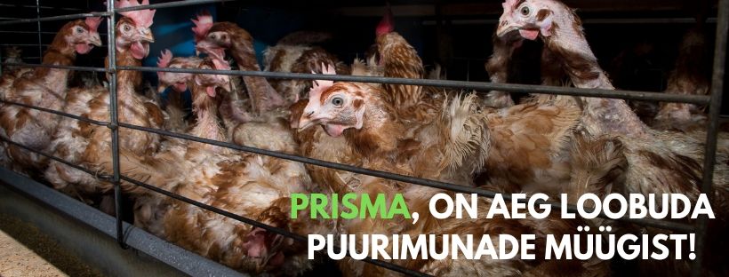 Prisma emafirma loobub puurimunadest, aga Prisma mitte? | Nähtamatud Loomad